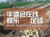 种植基地八