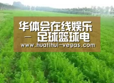 种植基地四