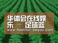 种植基地六