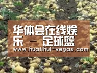 种植基地七