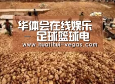 种植基地二