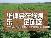 种植基地五(图1)