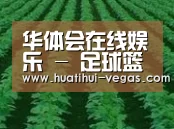 种植基地六(图1)