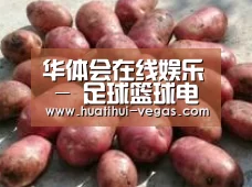 产品展示标题5(图1)